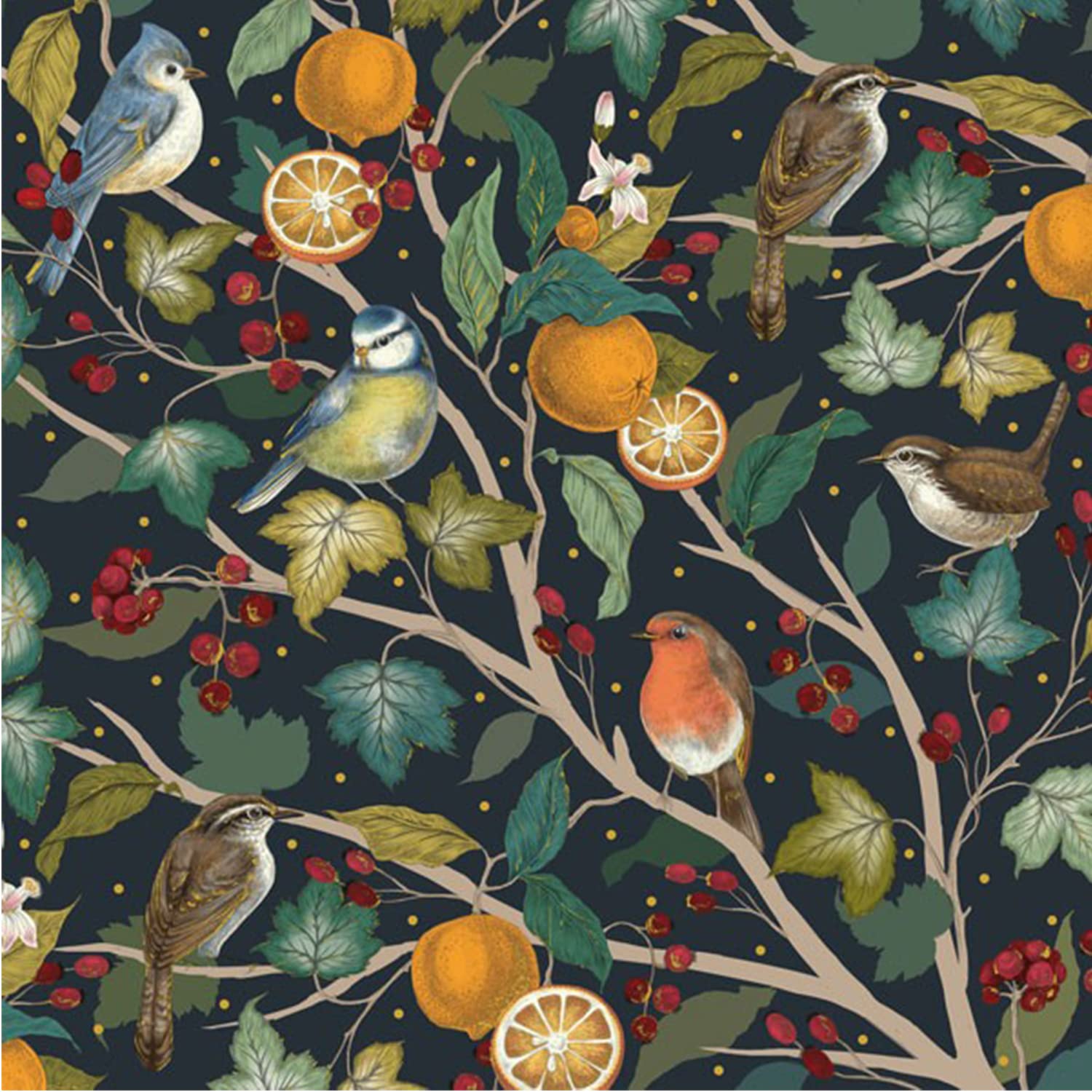 Christmas Card Box. Robins and Oranges. 8 Foiled and Embossed Christmas Cards. Size 16 x 16 cm Standard Postage