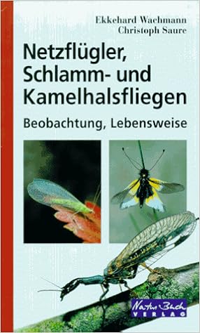 Netzflugler Schlammfliegen Und Kamelhalsfliegen Amazon De Wachmann Ekkehard Saure Christoph Bucher