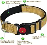 ATETEO Reflective Adjustable Dog Collar with Neoprene Padding 17.7-27.5 in view 2