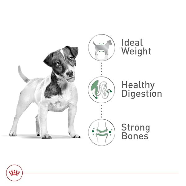 ROYAL CANIN SIZE HEALTH NUTRITION SMALL ADULT DRY DOG FOOD, 4 LB