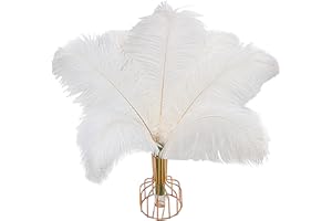 iHUFeather Lot de 10 plumes d'autruche blanches naturelles en vrac 30-35 cm pour centre de table de mariage, Pâques et décora