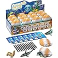 Amazon.com: EARTH'SCODE Ocean Animals Dig Kit, Seashell Excavation Dig ...