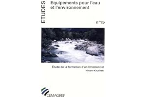 Étude de la formation d'un lit torrentiel (Etudes) (French Edition)