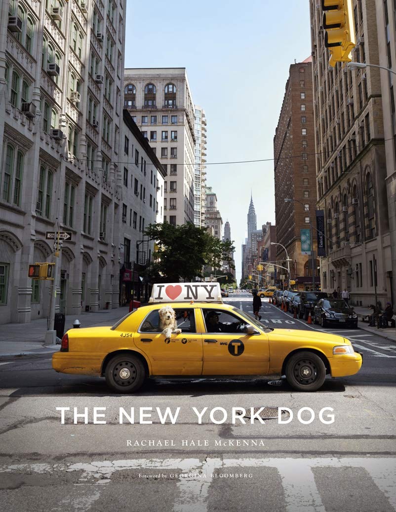 The New York Dog (9781617690907)