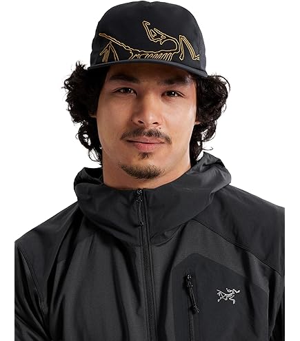Amazon.com: Arc'teryx Unisex Bird Head Toque Eden/Black One Size