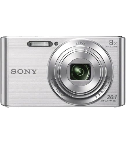 Amazon.com : Sony DSCW830 20.1 MP Digital Camera with 2.7-Inch LCD