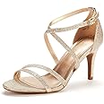 DREAM PAIRS Women's Gigi Fashion Stilettos Open Toe Pump Heel Sandals