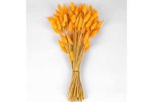 Orange Bunny Tails Dried Flowers Bulk, 110-120pcs Black Rabbit Tails Dried Grass ,XMFAYUAN Small Black Pampas Grass Bouquet Natural Dried Plant for Home Decor and Gifting (16-17")