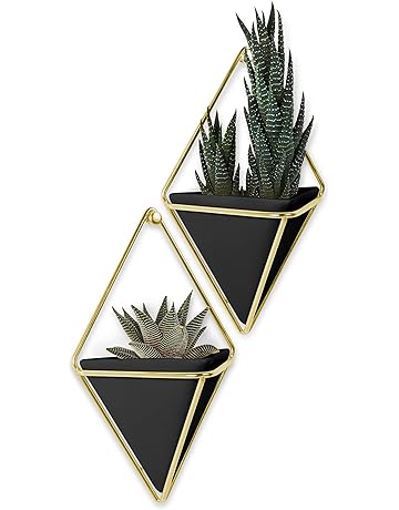 Maceteros | Amazon.es