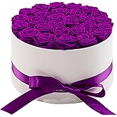 Otuo 27 Piece Preserved Roses in a Box - Forever Flowers for Delivery Prime, Eternal Roses Mothers Gifts for Mom, Valentine's Day, Wife Anniversary Birthday Gifts for Women(Purple)