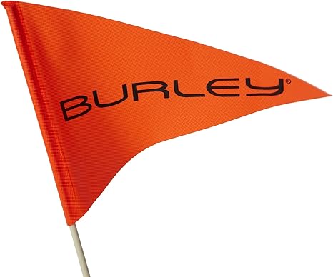 amazon burley