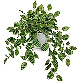 Briful Artificial Plants Indoor Fake Potted Silk Plants Faux Watermelon Peperomia Draping Plant for Home Office Bathroom Shelf Cabinet Tabletop Decoration(Green - 1 Pack)