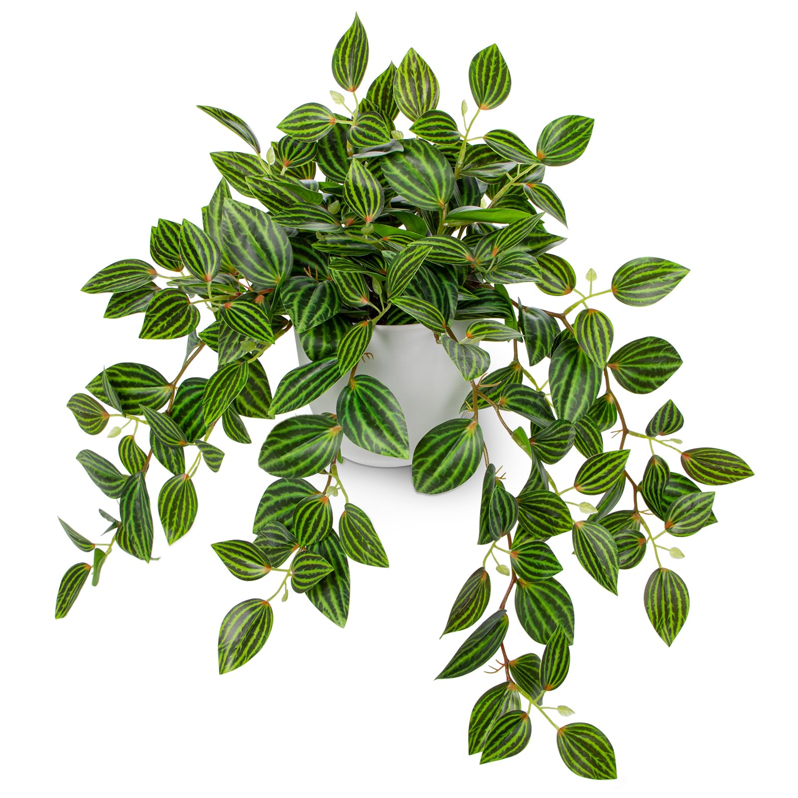 Photo 1 of Briful Artificial Plants Indoor Fake Potted Silk Plants Faux Watermelon Peperomia Draping Plant for Home Office Bathroom Shelf Cabinet Tabletop Decoration(Green - 1 Pack)