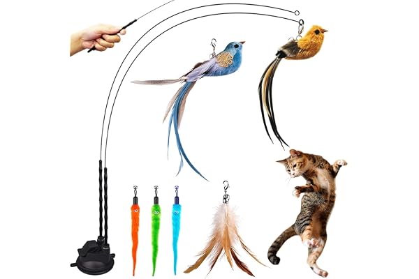 Cat Feather Toys, Cat Toys Wand, Interactive Cat Toy with Super Suction Cup, 2 PCS Cat Wand Toy and 6 PCS Feather Replacement