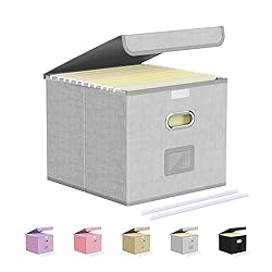 Oterri File Organizer Box,File Box,Small File