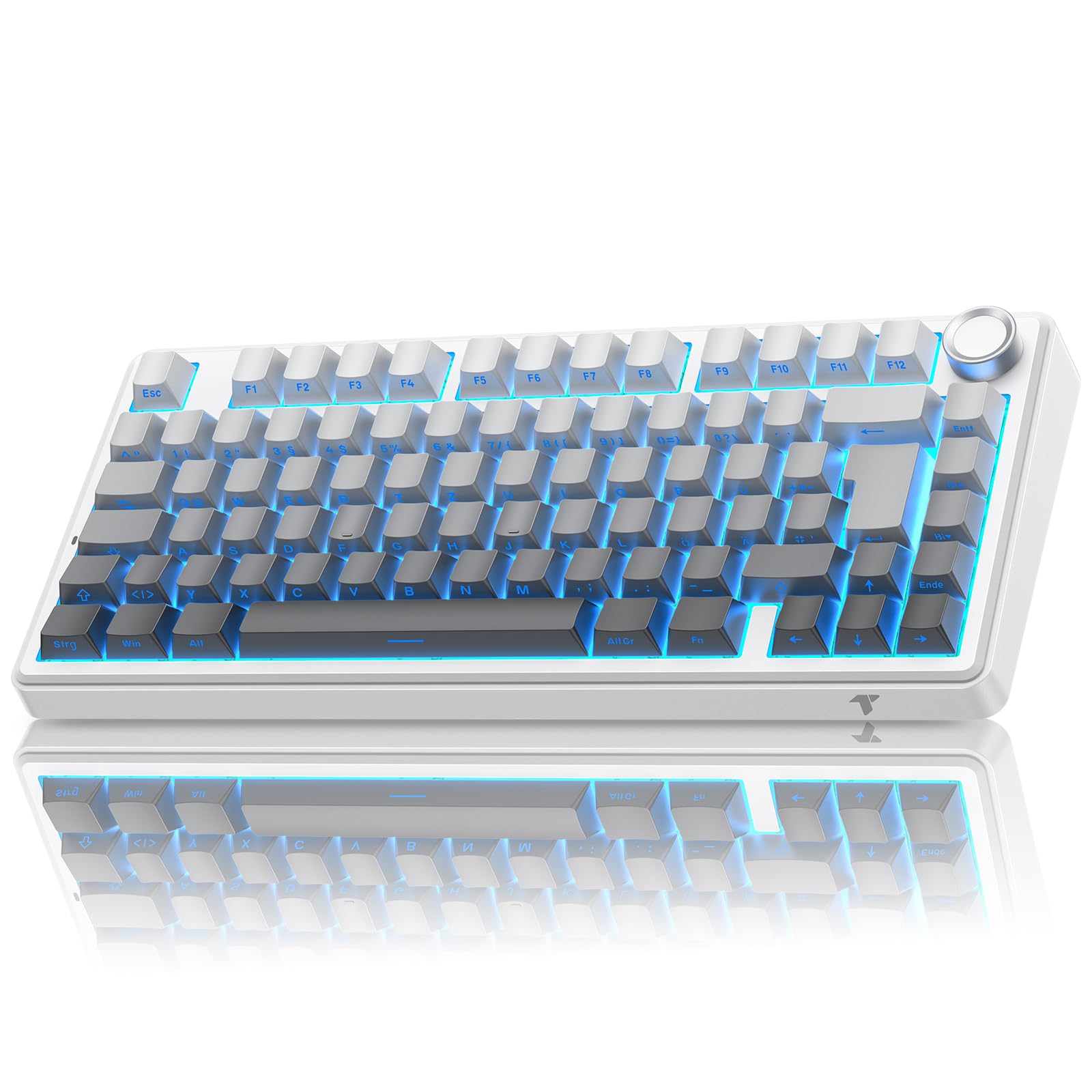 TECURS 75% Gaming Tastatur Kabellos, DREI-Modus 2.4GHz/BT5.0/Type-C RGB Rote Schalter Mechanische Tastatur, Hot Swap, Seitliche Gravur PBT-Tastenkappen mit Drehknopf, QWERTZ (Gradient Grau)