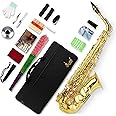 SLADE Saxophone Eb Alto Saxophone for Beginner Students, Saxaphone Adult, Saxophone Alto, Beginner Saxophone, Alto Saxaphone, Saxofon Alto, Saxophone, Gold