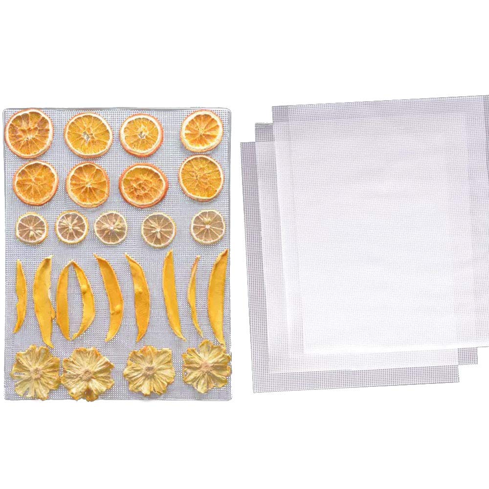 Best Excalibur Dehydrator Dishwasher Safe