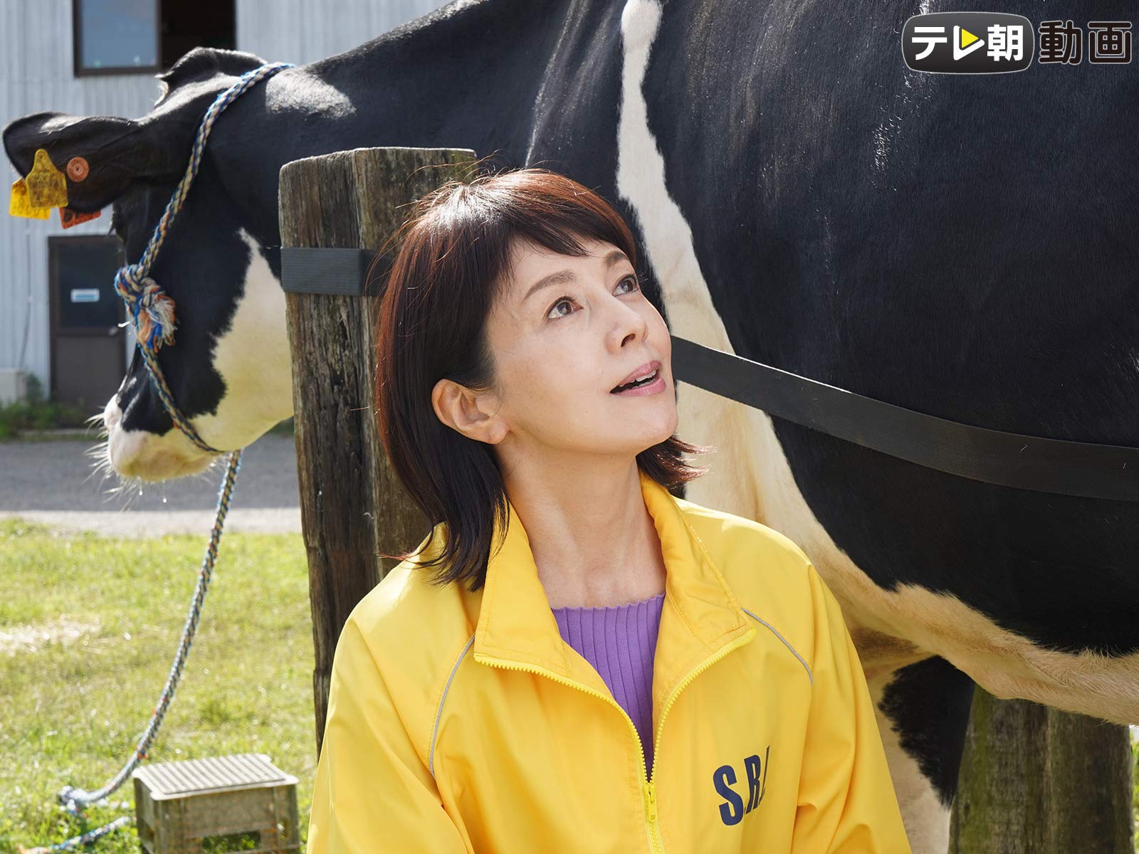 Amazon Co Jp 科捜研の女 Seasonを観る Prime Video