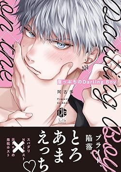 崖っぷちのDarlingBoy