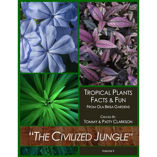 洋書 TROPICA: Exotic Plants and Trees Tropica - Color Cyclopedia of Exotic Plants and Trees - for Warm