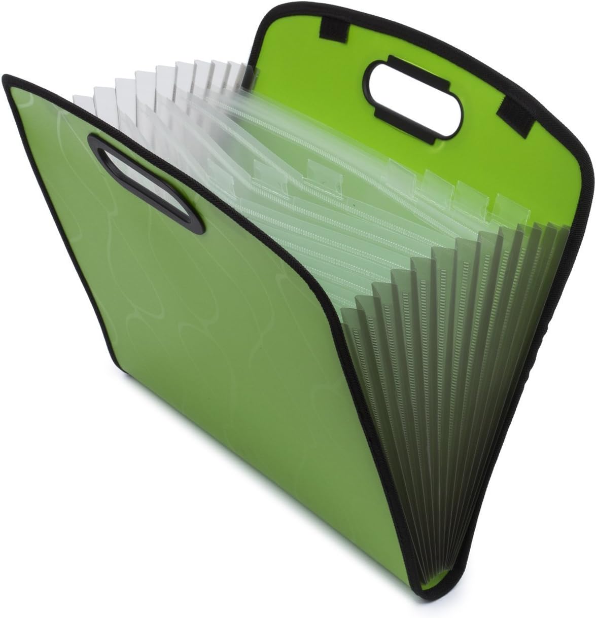 Expandable Portable Accordion File Document Folder File