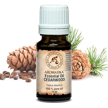 Ätherisches Öl Zedernholz 20ml - Cedrus Atlantica - Marokko - Öl aus Zedernholz für eine gute Aromatherapie - Entspannung - D