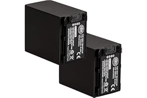 BM PREMIUM BM 2-Pack of NP-FV100 Batteries for Sony FDR-AX53 HDR-CX455 HDR-CX675 PJ260V HDR-PJ380 HDR-PJ430V HDR-PJ580V HDR-PJ650V HDR-PJ670 HDR-PJ710V HDR-PJ760V HDR-PV790V XR260V FDR-AX33 FDR-AX100 Camcorder