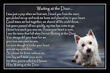 westie memorial stones