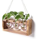 Plant Terrarium Propagation Stations Hydroponics Home Garden Decoration Gift for Women with Wooden Stand Heart Shaped Colored Glass Vase
