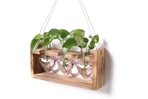 RCXsigns Plant Terrarium Unique Birthday Gift for Women Wall Planters for Indoor Hydroponic Plant Propagation Stations Heart Shaped Glass Vase with Wooden Stand