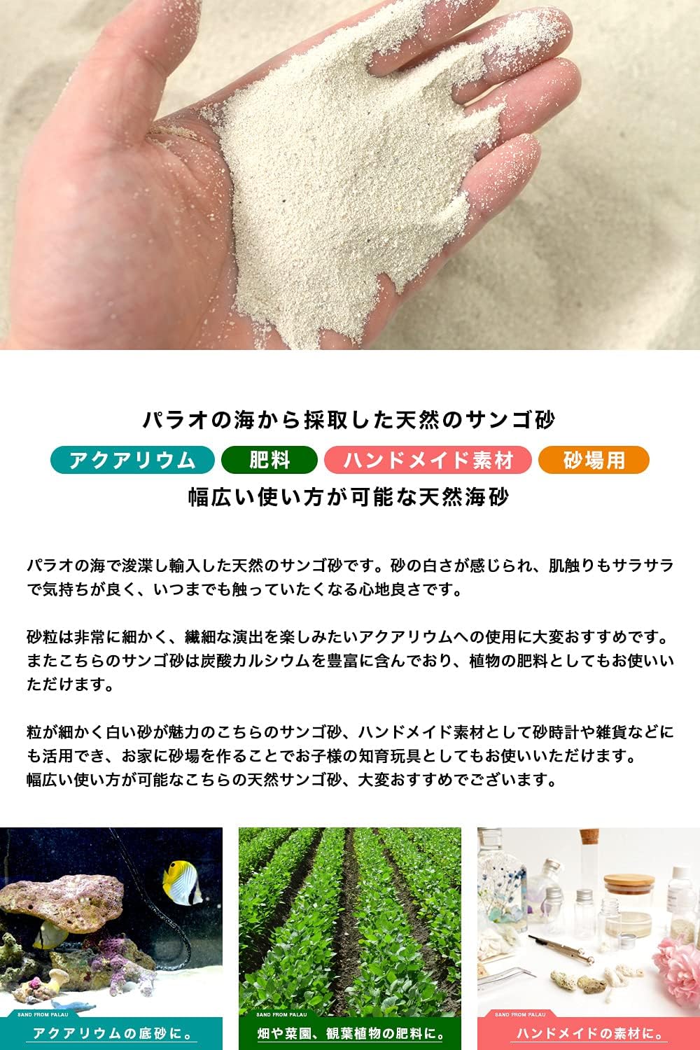 Amazon パラオ産 天然サンゴ砂 100g ノーブランド品 底床 通販