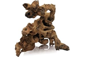 Tfwadmx Natural Driftwood for Aquarium Decor-9-14 Assorted Large Driftwood,Fish Tank Drift Wood Decoration, Freshwater Wood Branches Ornament for Reptile Terrarium,Air Plants