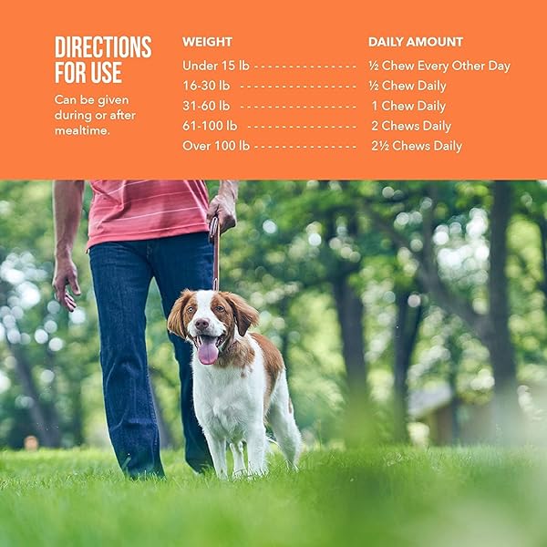 SYNOVI G4 DOG JOINT SUPPLEMENT CHEWS, 240-COUNT
