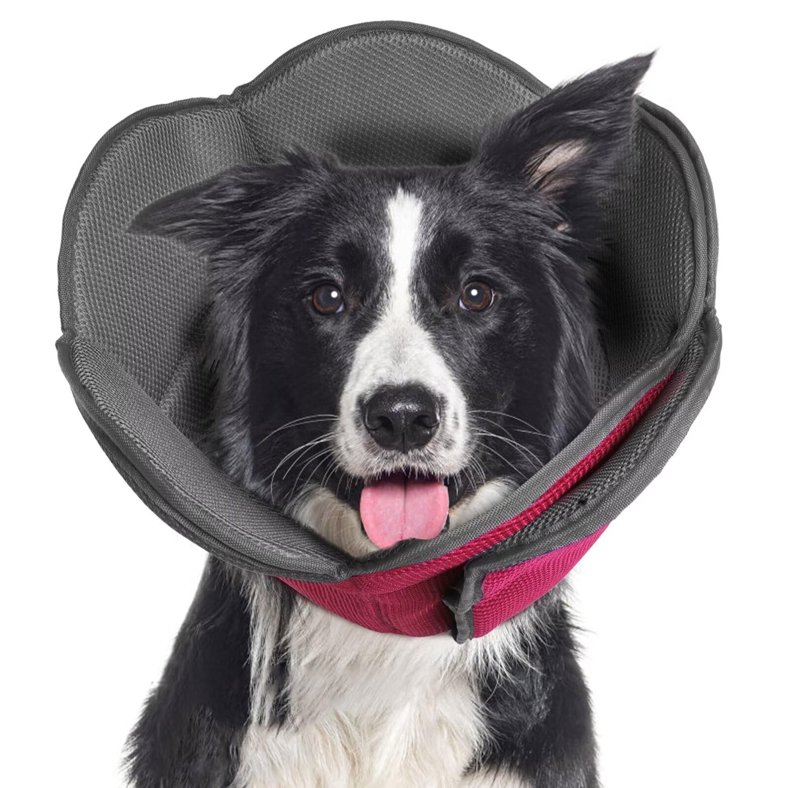 Photo 1 of Dog Cone for Dogs After Surgery,Adjustable Protective Dog Recovery Collars & Cones for Large Medium Small Dogs Cats,Comfy Soft Dog Cones Prevent Pets from Touching Stitches Rashes,Wounds,Rosered,L