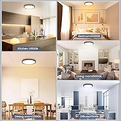 NIORSUN 12 inch Flush Mount LED Ceiling Light
