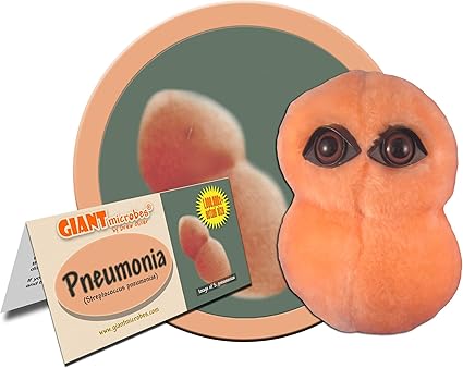 tardigrado peluche amazon