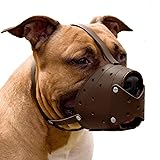 CollarDirect Leather Basket Dog Muzzle for German