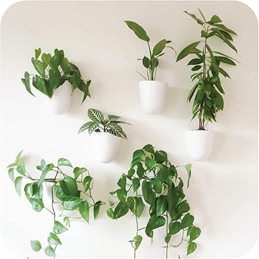 Plantador De Pared Plantador Vertical Y De Pared 6 Bolsillos | Envío Gratis