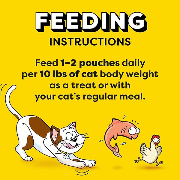 TEMPTATIONS CREAMY PUREE SQUEEZABLE LICKABLE CAT TREATS, WET CAT TREATS WITH SALMON AND CHICKEN VARIETY PACK, 0.42 OZ. TUBES, 16 COUNT