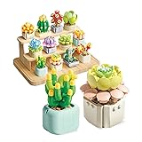 Feelo STEM Succulents Plants Building Set Mini