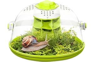 LURMMUE Small Animal Carrier — Round Transparent Snail Terrarium Kit for Kids, Portable Insect Habitat with Air Vents, Removable Base & Handle for Snails, Beetles, Spiders, Ladybugs