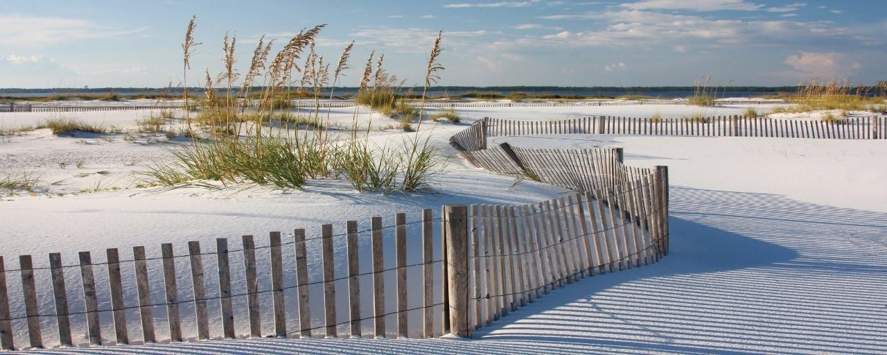 DUNE PATH - Giclee Canvas Print Stretched on Wood Bars - Size 24"H x 36"L - Image # 10009 - MADE IN USA