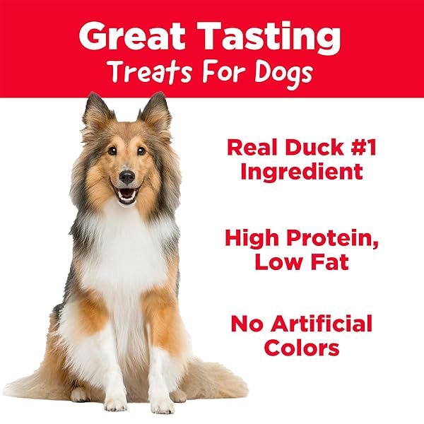 COUNTRY KITCHEN DUCK GRILLERS DOG TREATS, HIGH PROTEIN, LOW FAT, NO ARTIFICIAL COLORS, 10 OZ