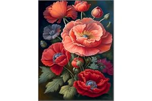 Mandun Flowers Paint by Numbers for Adult, Poppy Paint by Numbers Kit for Adults Beginners, DIY Flowers Acrylic Painting on Canvas for Home Wall Art Decor 16x20 Inch