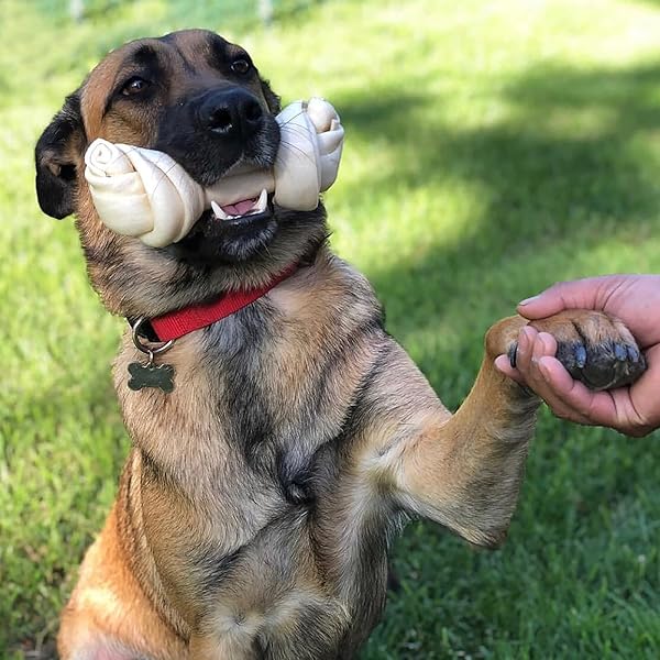 PET FACTORY AMERICAN BEEFHIDE 12″ KNOTTED BONE DOG CHEW TREAT – NATURAL FLAVOR, 1 COUNT/1 PACK
