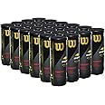 WILSON US Open Tennis Balls - Regular Duty, 24 Can Case (72 Balls)