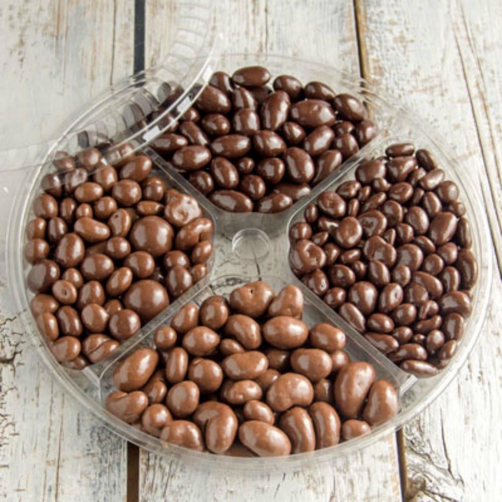 Chocolate Sophistication Large 10" Party Tray with Chocolate Cashews / Swiss Bridge Mix / Almonds / Cranberries 30.3 oz