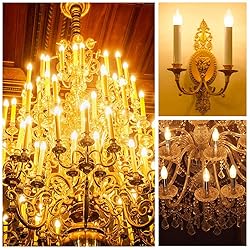 Energetic LED B10 E12 Candelabra Light Bulbs 60