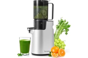 Larinest Slow Masticating Juicer Machines Cold Press Juicer Machines with 4" Wide Chute Pure Juicer Machine for Vegetables and Fruits,Reverse Function,NO BPA,JC01,Silver